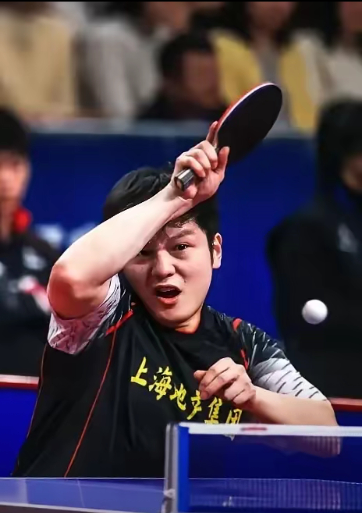 乒乓球赛后采访曝光，内幕引发热议的简单介绍
