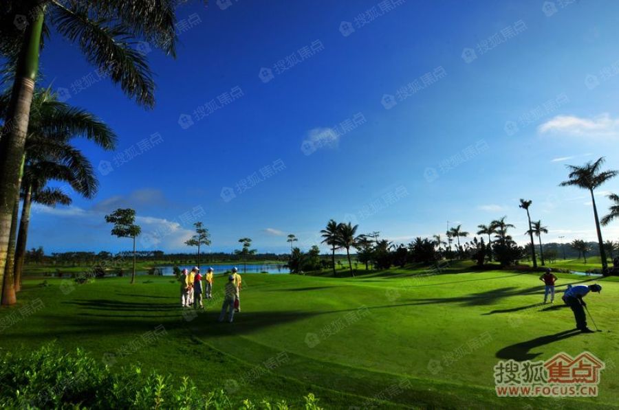 专家预测高尔夫胜率超六成,结果成焦点 专家预测高尔夫胜率超六成,结果成焦点