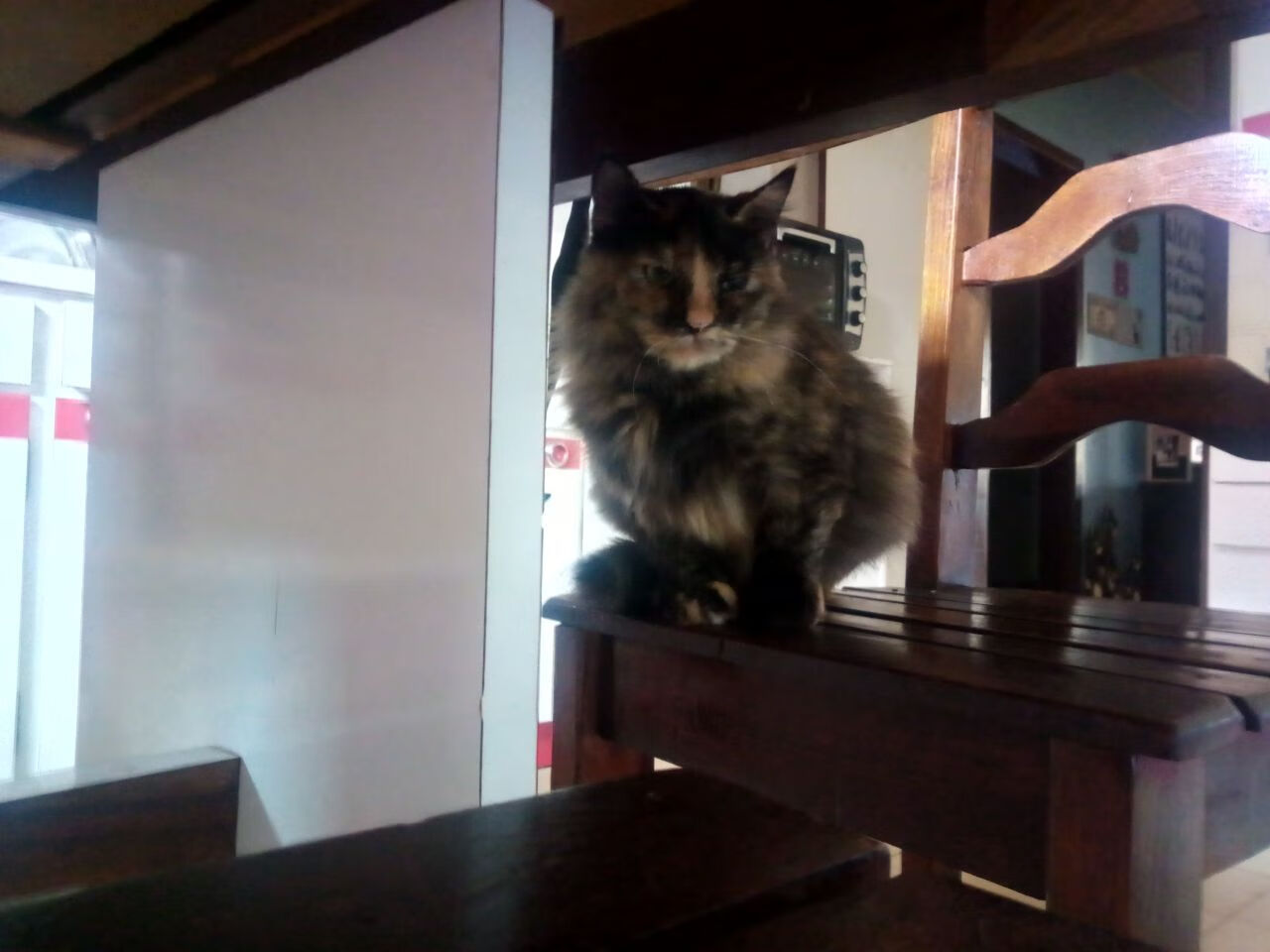 沉默的网，英格拉姆如何用三记封盖织就独行侠的胜利之夜