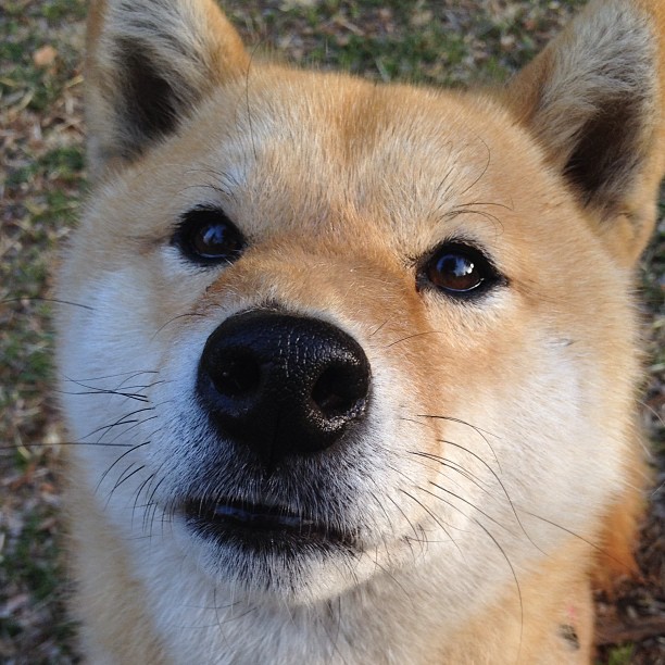 命运拐点，火箭坠落之夜，布克那记改写剧本的致命三分