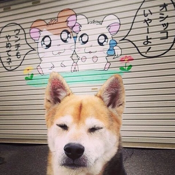 石油绿鹰血洗郁金香，哈弗茨导演沙特足球史上最伟大逆袭