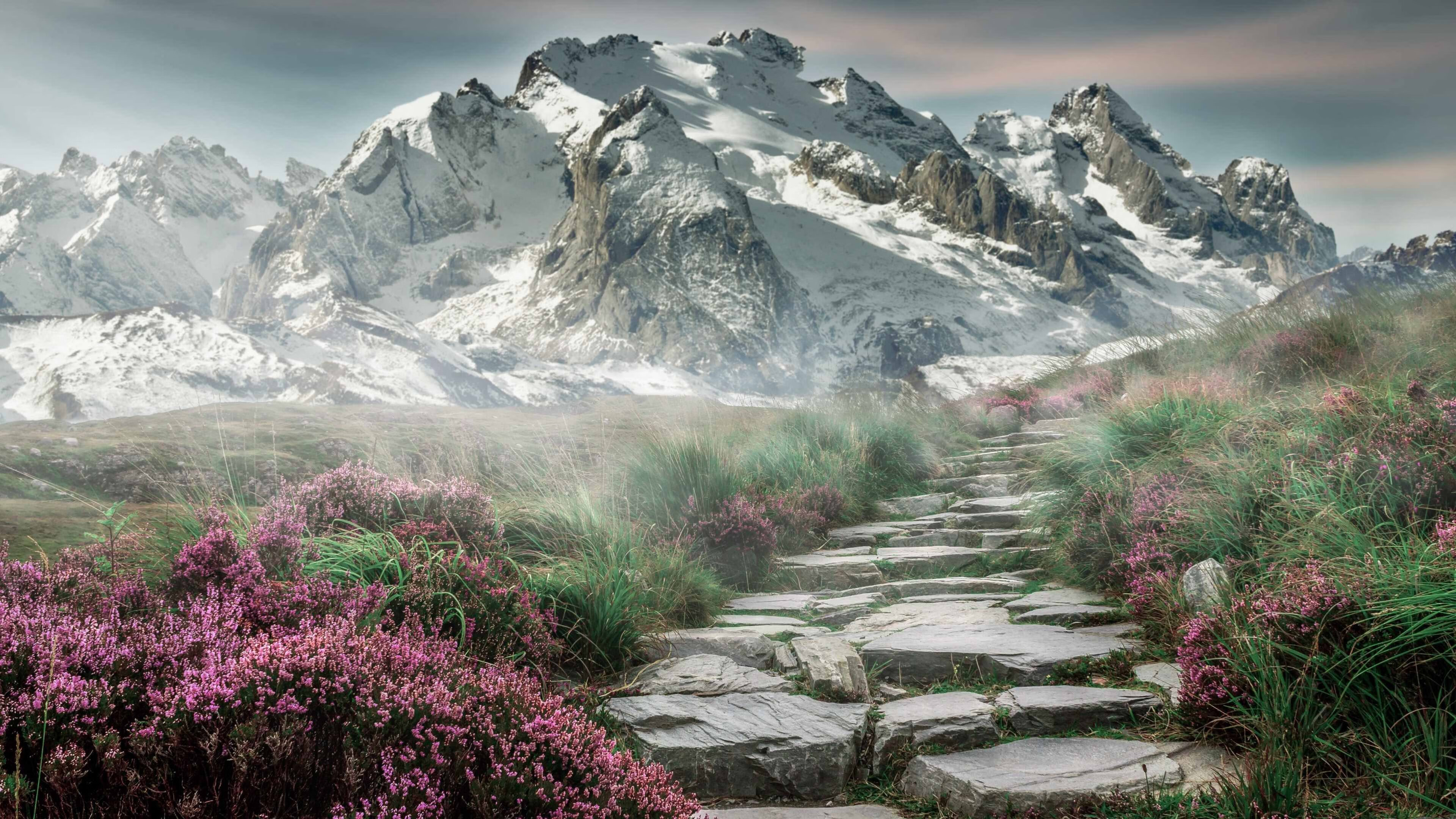 篮坛双面镜，塔图姆绝杀定乾坤，活塞狂胜显锋芒