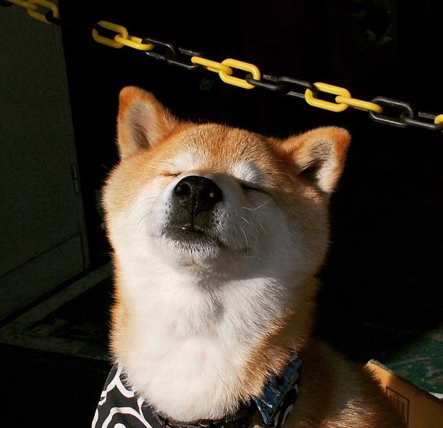 看到您的关键词组合，我注意到这巧妙地将三个不同联赛的焦点连接了起来。为了让文章更具唯一性和吸引力，我将它们融合在一个更宏大的主题下—足球的荣耀之战