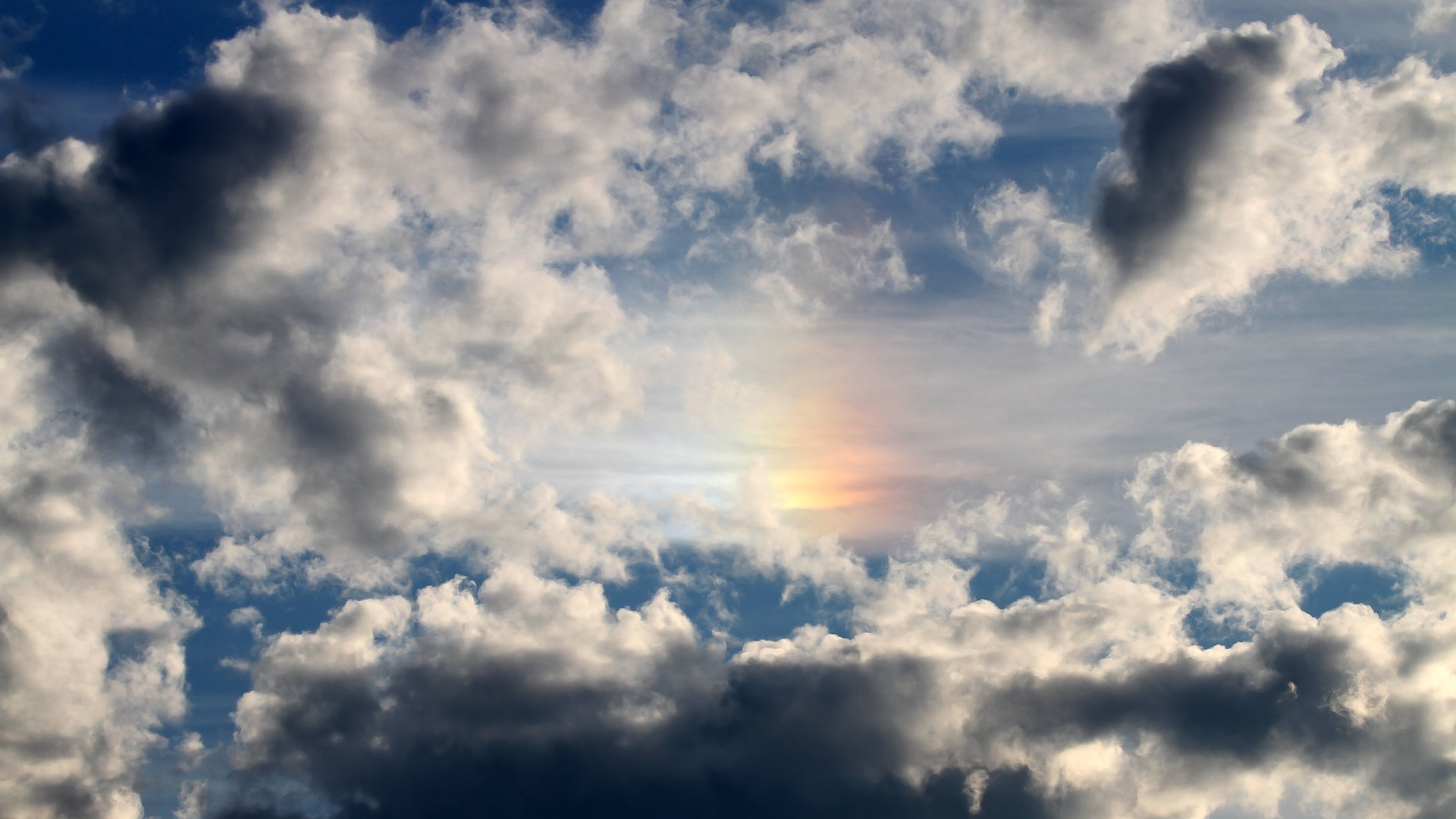 新星崛起,文班亚马关键先生本色,助老鹰展翅淘汰灰熊