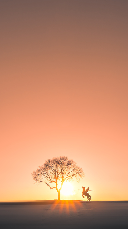 开云体育中国-冰封雄鹿，烈焰赛场，森林狼三节狼群狩猎与霍勒迪的璀璨星爆