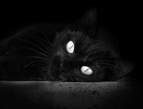 唯一性入侵足篮疆界，一场欧冠半决赛如何被新疆队碾压76人