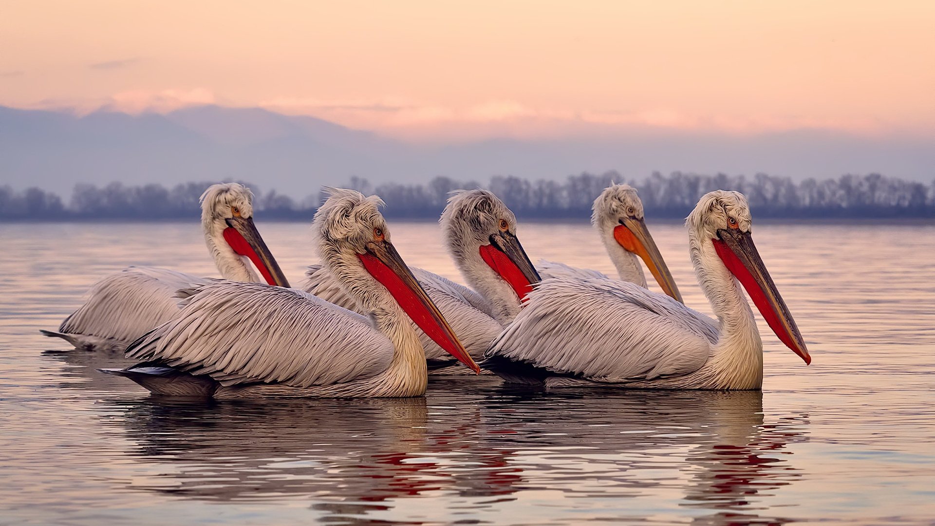 绿茵的独舞，戈麦斯铸就雷恩之夜，一役颠覆伊比利亚神话
