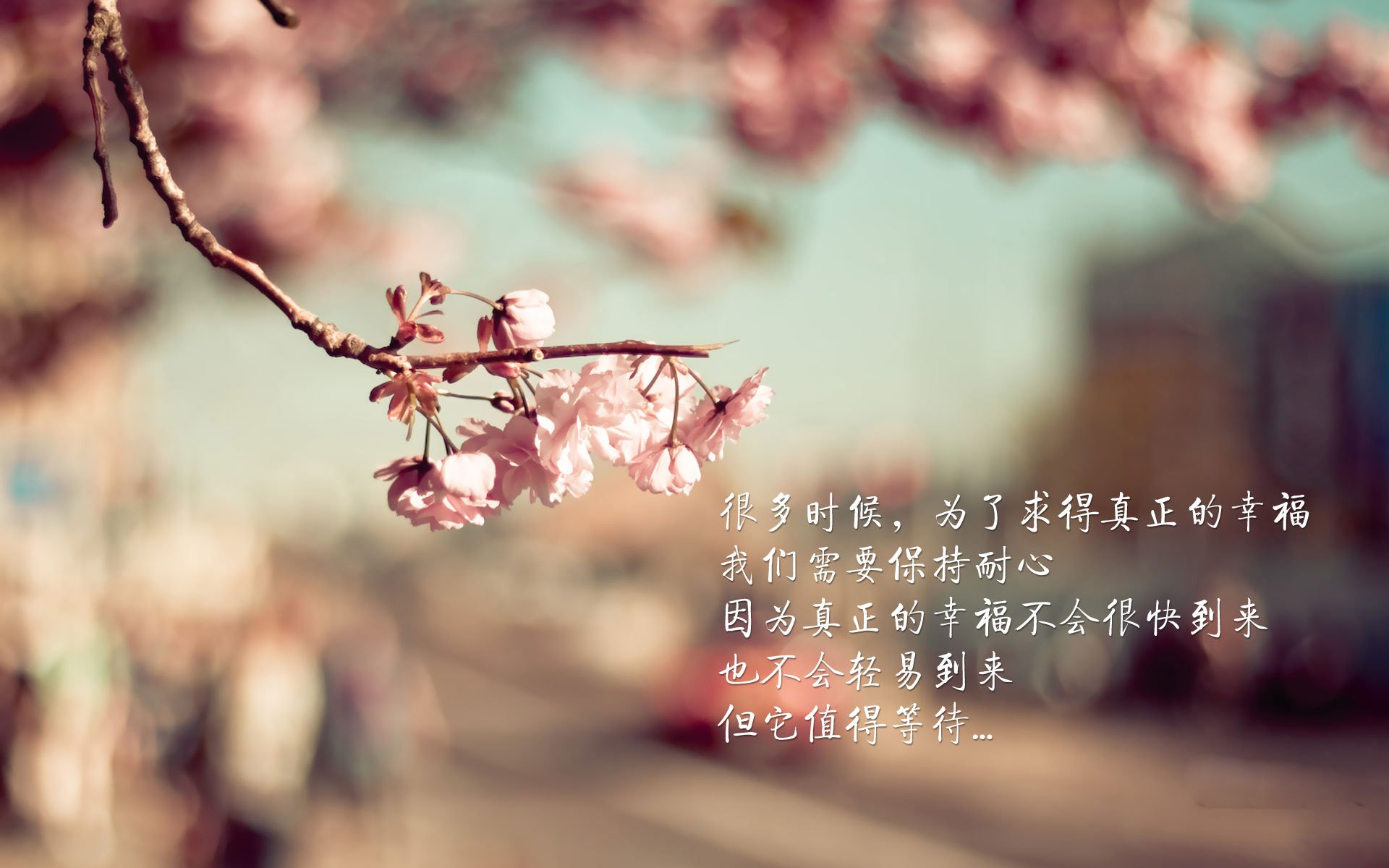 时空交错的镜像对决，当浓眉成为奇才攻防转换核心