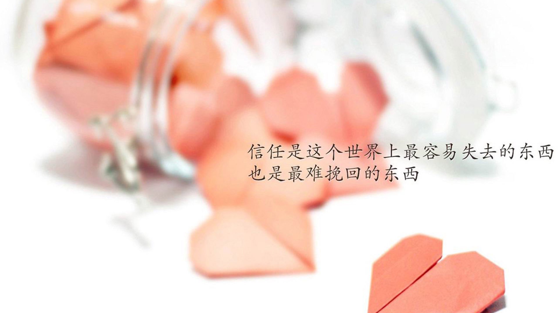 唯一的一场双红会,当保加利亚的铁蹄踏碎太阳,B费用月光照亮2026
