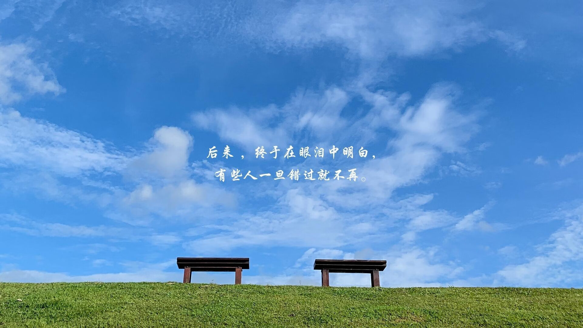 加维的指挥棒与东亚的绝唱,一场被唯一定义的H组风暴