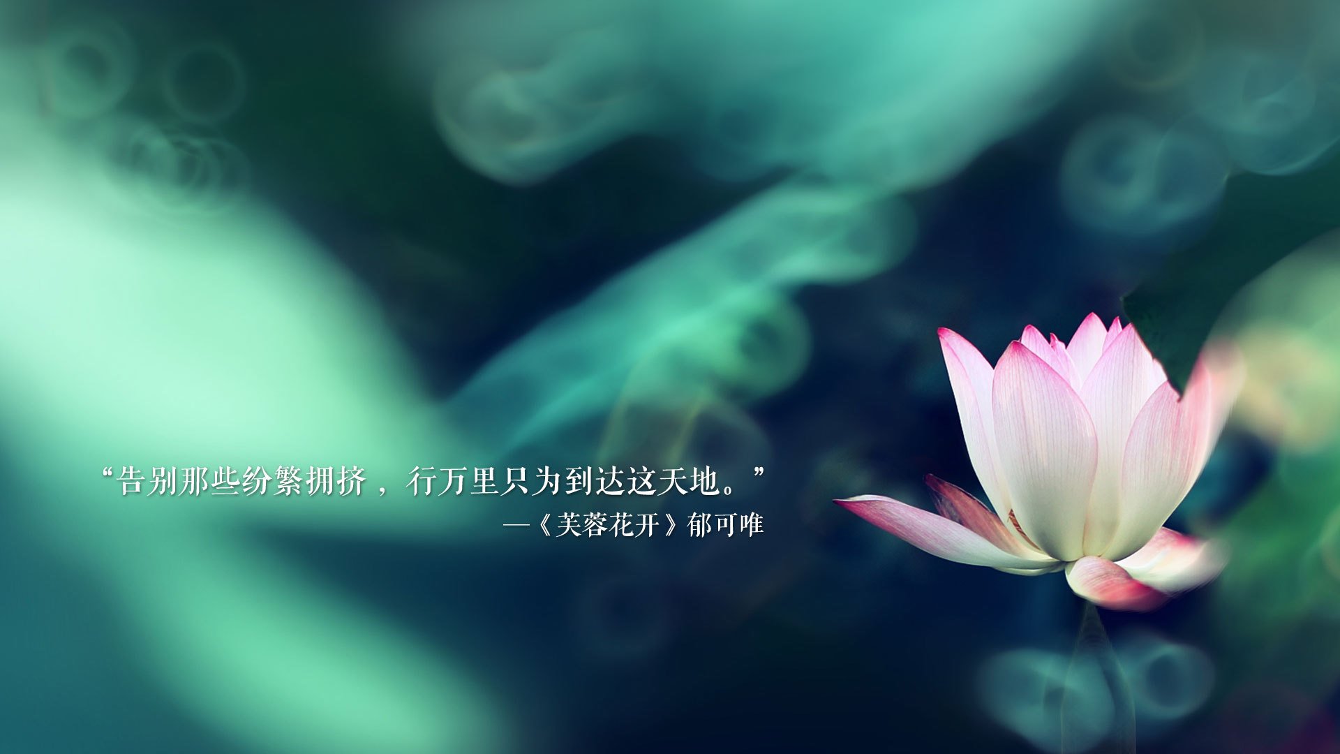 冰与火之歌，当钢铁意志熔穿布拉格之春—2026世界杯，一场属于唯一的哥伦比亚式绝杀